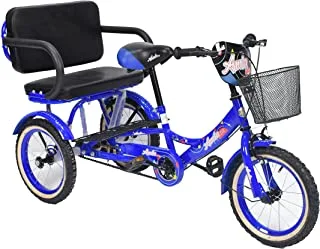 Amla Care Tricycle with Inner Seat, Blue 14-Inch Size Medium, TB608-14B