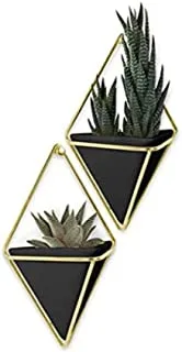 Umbra Trigg Hanging Planter Vase & Geometric Wall Decor Concrete Container - Great For Succulent Plants, Air Plant, Mini Cactus, Faux Plants And More, Set Of 2, Small, Black/Brass