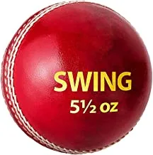 DSC Swing Leather Cricket Ball (Red)