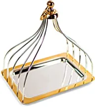 صينية قفص مطلية بالفضة والذهب بمقابض معدنية مستطيلة الشكل | هدية تسخين من الفولاذ المقاوم للصدأ عالي الجودة | X-كبير