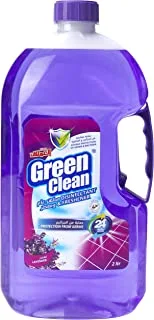 Green Clean Disinfectant And Freshener 2 L Lavender (Pack Of 1)