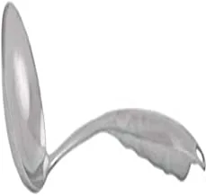 Berger Stainless Steel Soup Ladle, Silver - Sa002