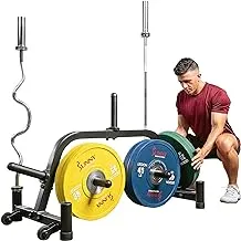 Sunny Health & Fitness Multi-Weight Plate and Barbell Rack Storage Stand - SF-XF9938