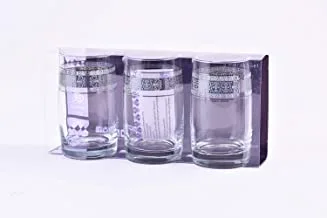 Wisteria Glass Tumbler set Kenar Platinum /3PCS