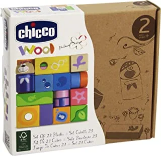 Chicco Wood Set Of 23 Blocks [Ch05165]