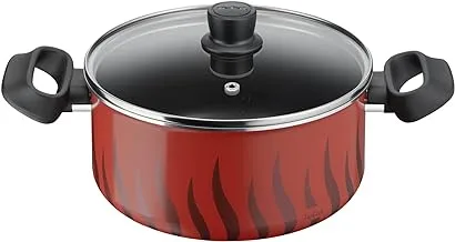 TEFAL Cooking Pot | Tempo Flame 22 cm Non Stick Casserole With Lid | Red | Aluminium | 2 Years Warranty | C3044585