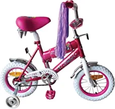 Family Center Free Wheels Bicycle For Girl 20