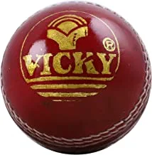 Vicky Spin Leather Ball, 2 Pcs, Maroon, (Pack of 1),Maroon