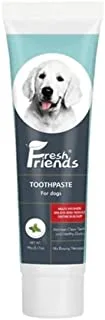Fresh friends dog toothpaste -mint flavor, 90g