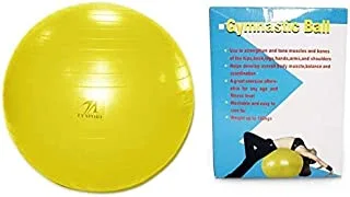 Leader Sport LS-2872-85 Anti Burst Gym Ball with Foot Pump, 85 cm Diameter