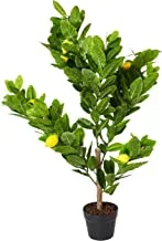 شبه طبيعي 3 'ليمون نبات اصطناعي ، أخضر