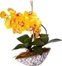 زهور فالاينوبسيس أوركيد طبيعية تقريبًا مصنوعة من الحرير ، أصفر