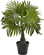 16in. Mini Fountain Palm Artificial Plant