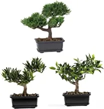 Nearly Natural 4122 8.5in. Bonsai Silk Plant Collection (Set of 3),Green