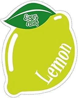 EVERFRESH PAPER CARD MIRROR HANGING LEMON 1