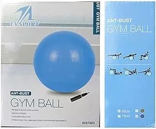 Leader Sport IR87070 Anti Burst Gym Ball with Foot Pump, 65 cm Diameter