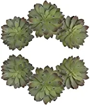 6 قطع من نباتات إيشفيريا إليجان الاصطناعية من ياتاي ، نباتات عصارية زهور وهمية ، نباتات صناعية ، شجيرات للمنازل والمكاتب والديكور ومشروع الحرف الفنية (رمادي أخضر)