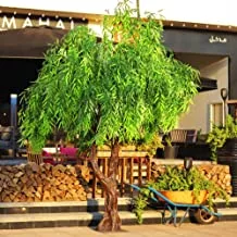 YATAI Artificial Fake Weeping Willow Tree 3m High Faux Leaf Plant With Metal Base For Office Garden Home Decoration House Decoration