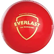 كرة الكريكيت الجلدية من اس جي ايفرلاست ، متعددة الالوان ، SG01SY610001-Ball