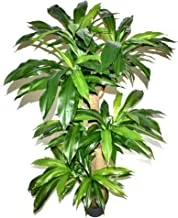 Artificial Brazil plant, Artificial tree, Garden plants, Garden Decor, Home Decor, Artificial plants - tree