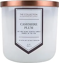 Chesapeake Bay Candle The Collection Two-Wick Scented Candle, Cashmere Plum Medium Jar