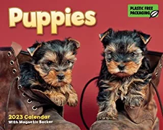 2023 Puppies Mini Box Calendar