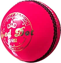 DSC Red Dot Leather Cricket Ball (Pink)
