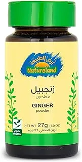 Natureland Ginger Powder, 27 G