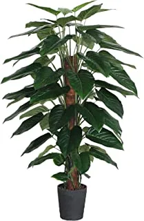 Beauty land gardens 150CM PHILODENDRON POLE WITH POT, GREEN, L