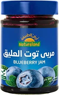 Natureland Organic Blueberry Jam, 200g - Pack of 1, Red