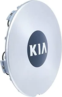 Kia Cap Assy-Wheel Hub @529602T300