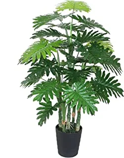 Beauty land gardens 120CM PHILODENDRON WITH POT, Green, M