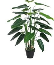 120CM PHILODENDRON WITH POT