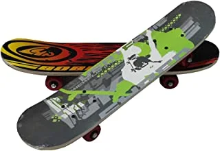 Skateboard 70X20Cm