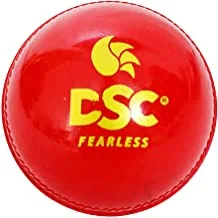 DSC 1500317 Synthetic Hunt Tennis Cricket Ball