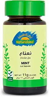 Natureland Mint Cut Leaves, 11G - Pack Of 1, Green