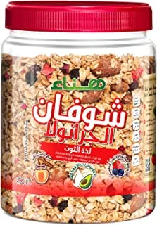 Oatmeal Granola Mix Fruits 400g - Pack of 1