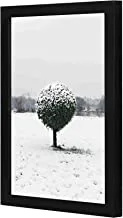 LOWHA Snow Covering Green Leaf Plant and Grass Field Wall art wooden frame Black color 23x33cm By LOWHA