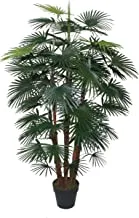 Beauty land gardens 150cm Fortunei Palm with pot, green, L