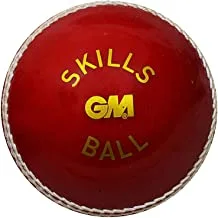 GM 1600941 Skill Poly Tennis Cricket Ball Soft (Red)