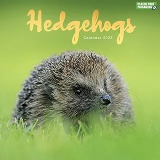 2023 Hedgehogs Wall Calendar