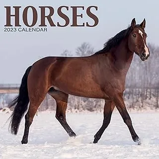 2023 Horses Mini Calendar
