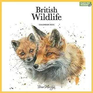 2023 British Wildlife Bree Merryn Wall Calendar