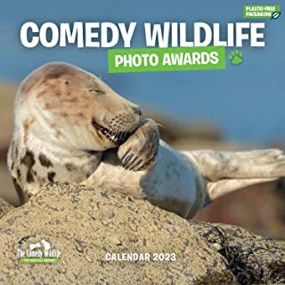 2023 كوميديا ​​الحياة البرية التصوير الفوتوغرافي جوائز الحائط التقويم