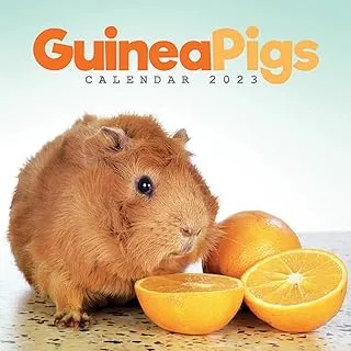 2023 Guinea Pigs Mini Calendar