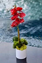 Yatai Real Touch Artificial Orchid Flowers In Plastic Pot With Moss Grass Arrangement For Multiple Occasions Â€“ Artificial Plants Â€“ Fake Flowers Â€“ Orchid Branches Â€“ Artificial Flower