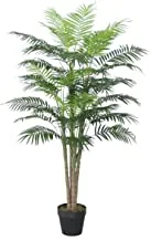 Beauty land gardens 150Cm Mini Palm With Pot, Green, L