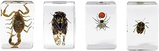 مجموعة عينات الحشرات ثلاثية الأبعاد من سيليسترون # 4