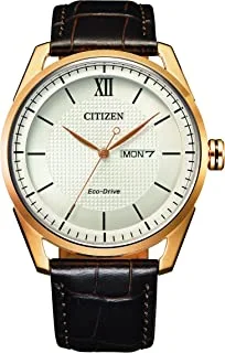 Citizen Eco-Drive Men Day And Date Watch - Aw0082-19A