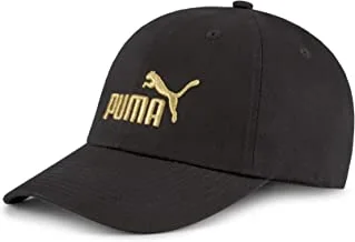 PUMA Mens Mens Evercat Luke Stretch Fit Cap HAT